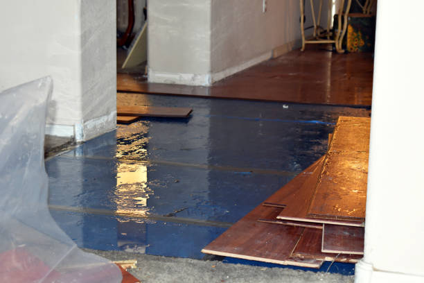Professional Flood Cleanup technician working in Dennis, TX
